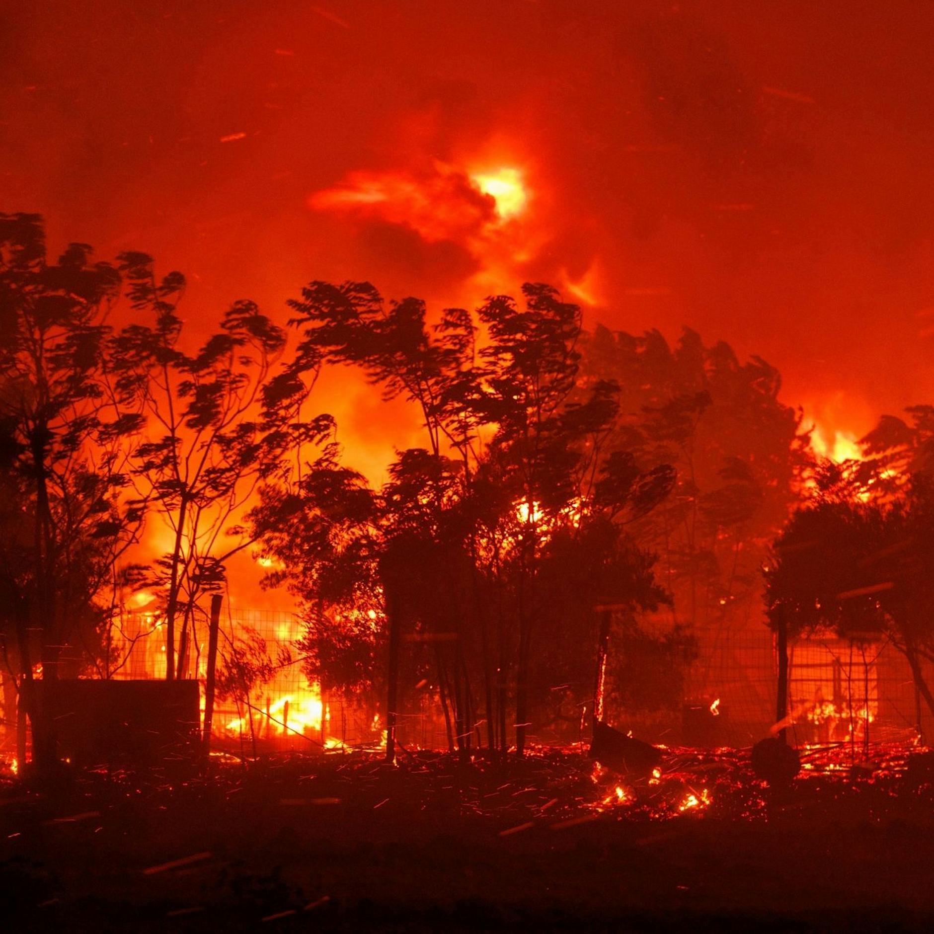 Waldbrände in Griechenland: 18 Migranten tot