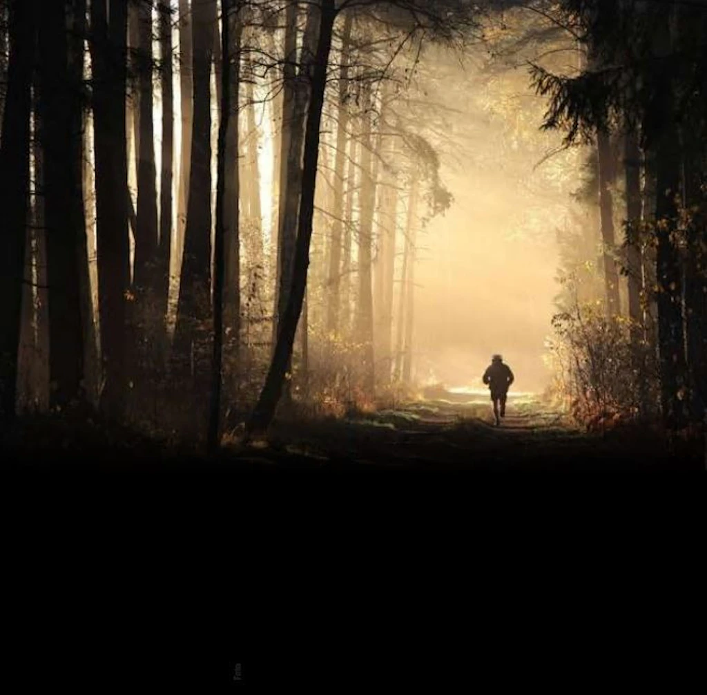 „Wolfsmensch“ im Harz: Was steckt hinter der mysteriösen Gestalt?