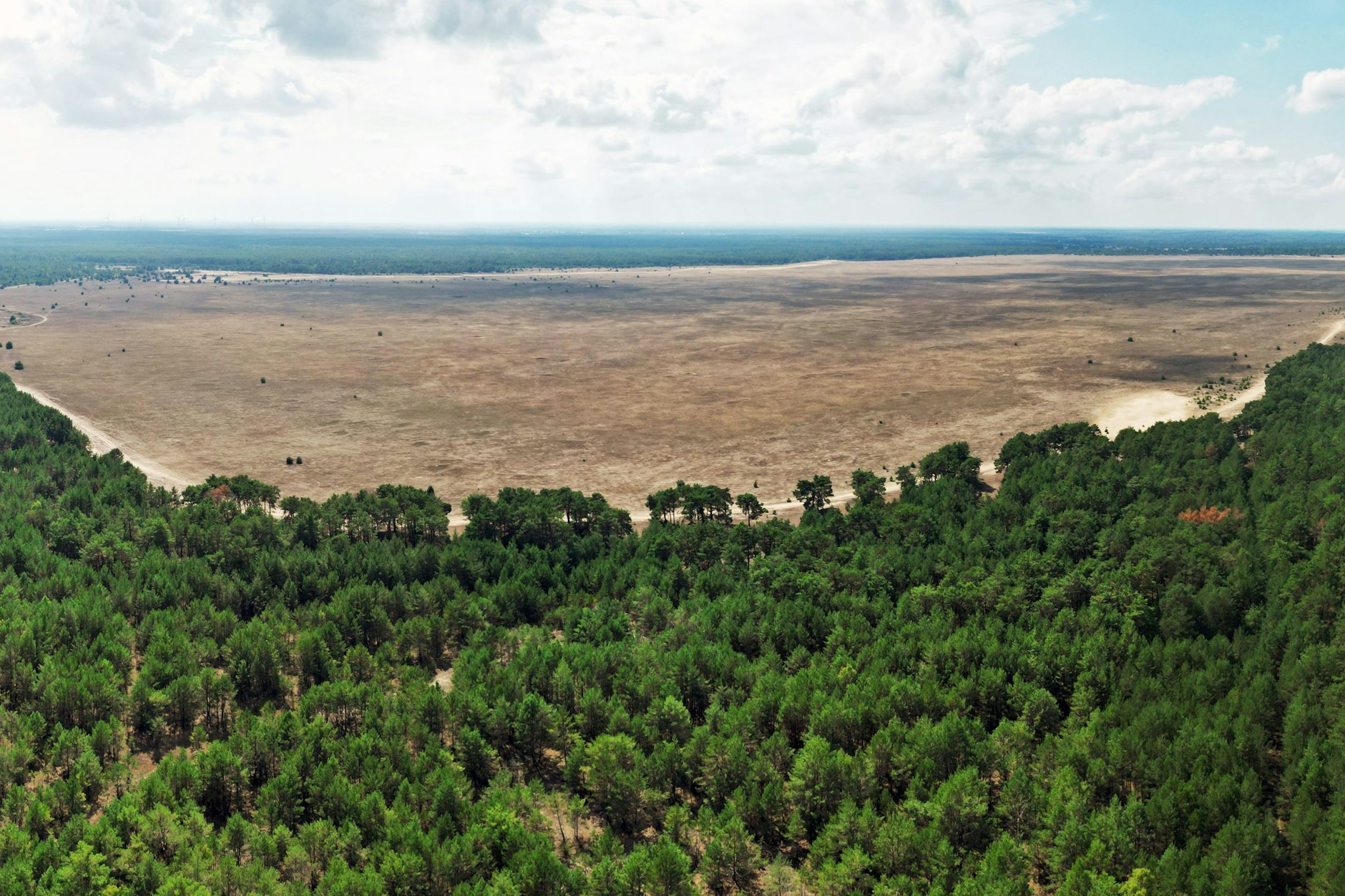 Karg wie Kasachstan: die Lieberoser „Wüste“ mit angrenzendem Wald.