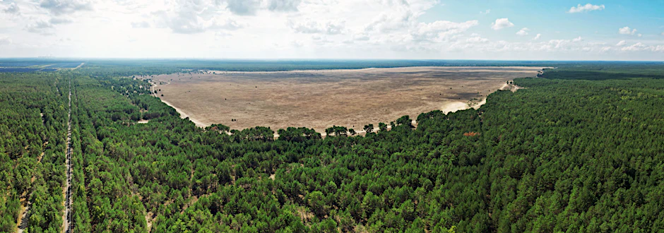 Karg wie Kasachstan: die Lieberoser „Wüste“ mit angrenzendem Wald.