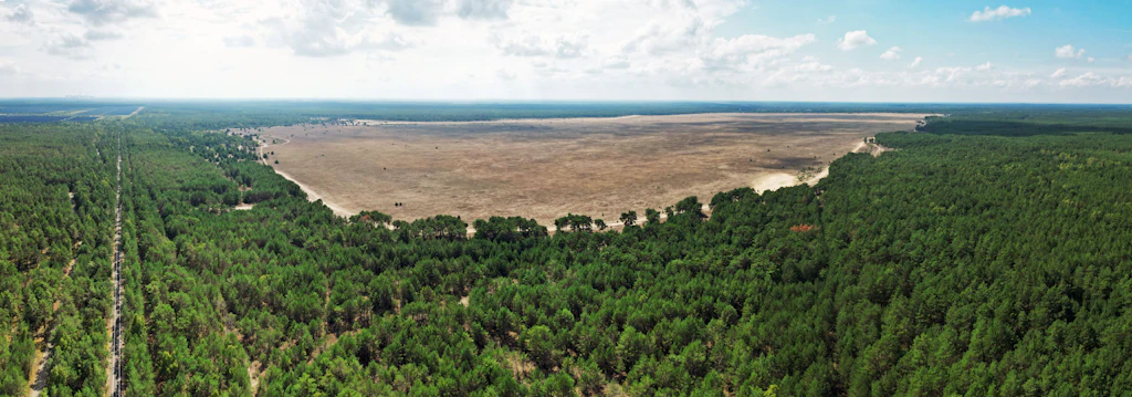 Lieberoser Heide: Die Wüste lebt – in Brandenburg