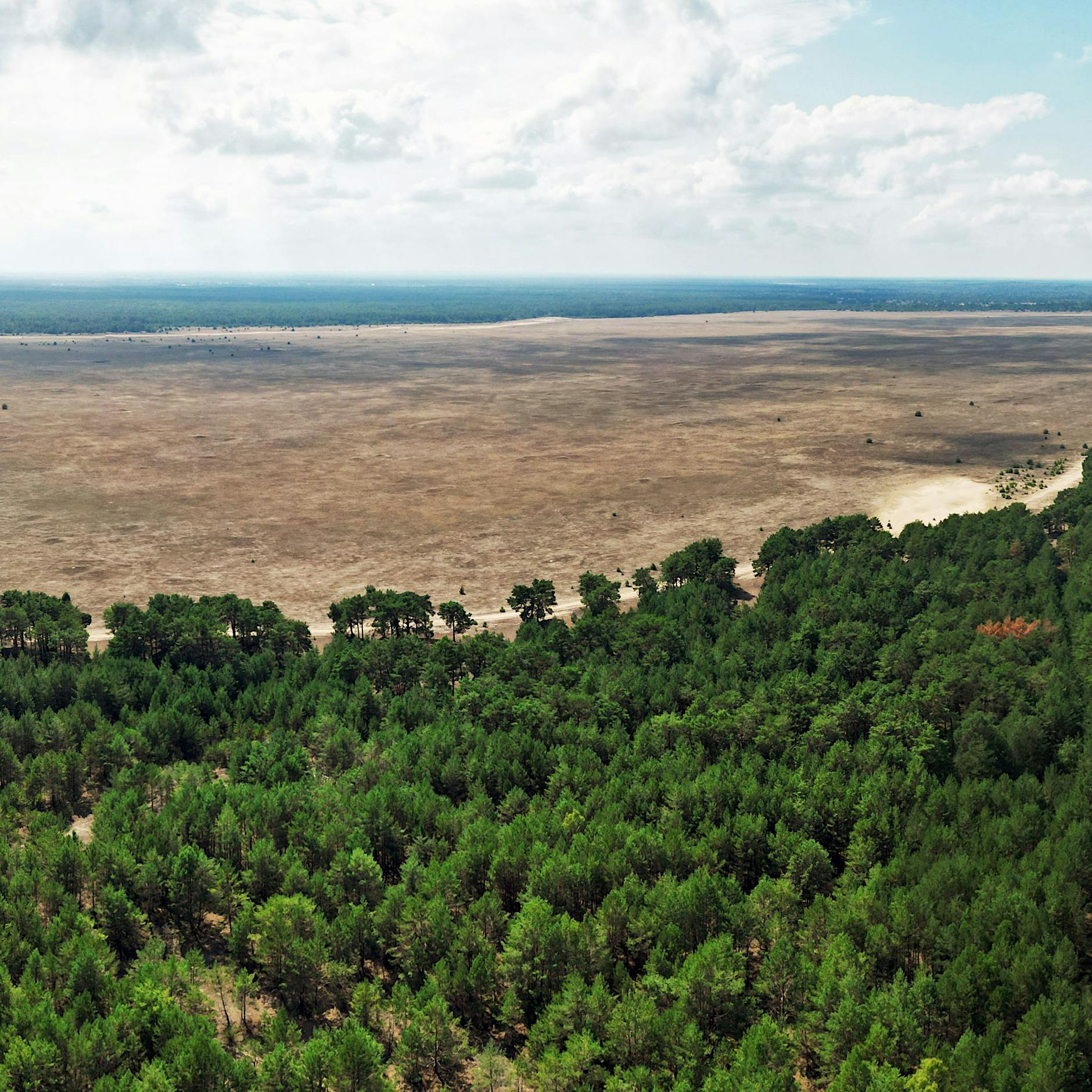 Lieberoser Heide: Liegt in einer Wüste die Zukunft des Tourismus in Brandenburg?