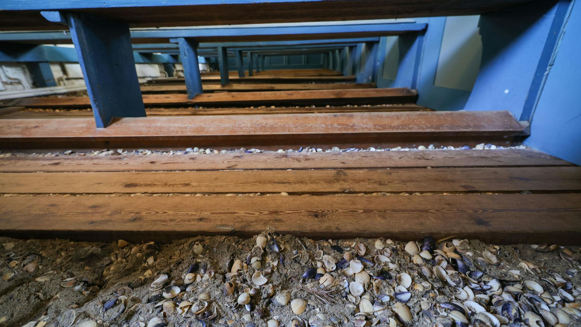 Auf dem Boden in der St. Johannis-Kirche auf der Hallig Hooge liegen Sand und Muscheln.