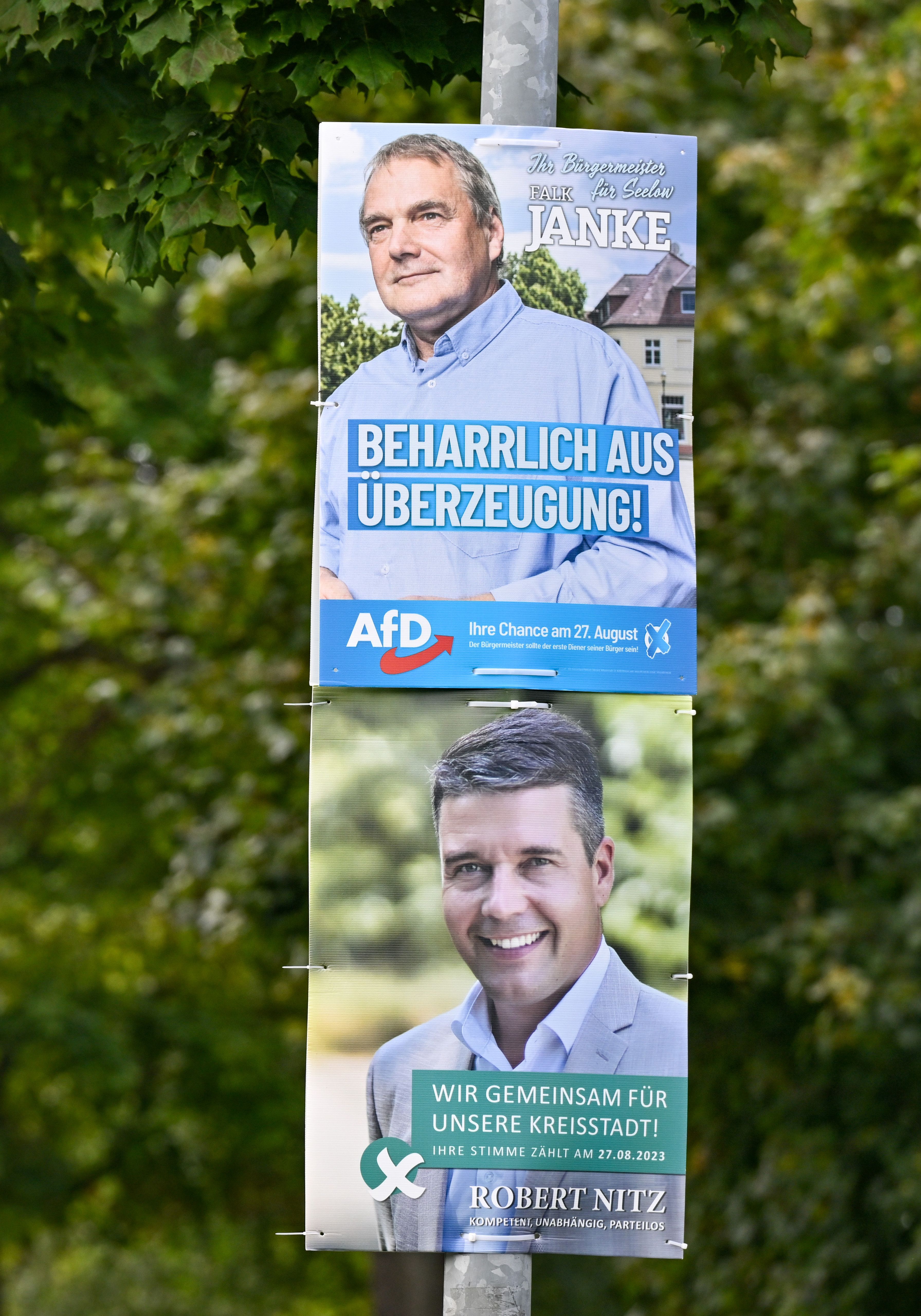 Seelower Bürgermeisterwahl am Sonntag: Feiert die AfD ihren nächsten Erfolg?