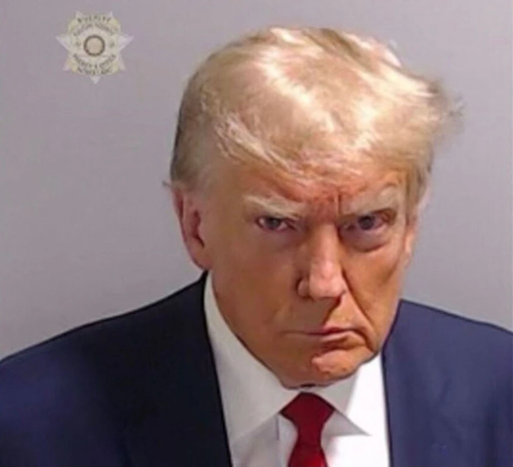 Nach Donald Trumps Polizeifoto: Hier kommen die besten Promi-Knastbilder!