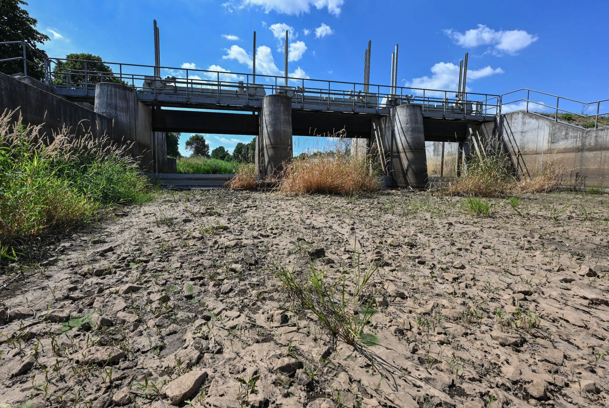 ARCHIV - Ausgetrockneter Teilabschnitt des Flusses Schwarze Elster in Südbrandenburg im vergangenem Sommer.  