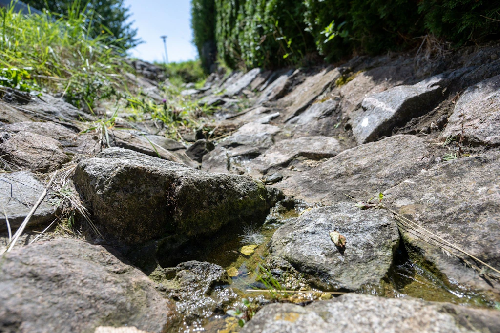 „Schwammstadt“ als Schutz vor Wasser