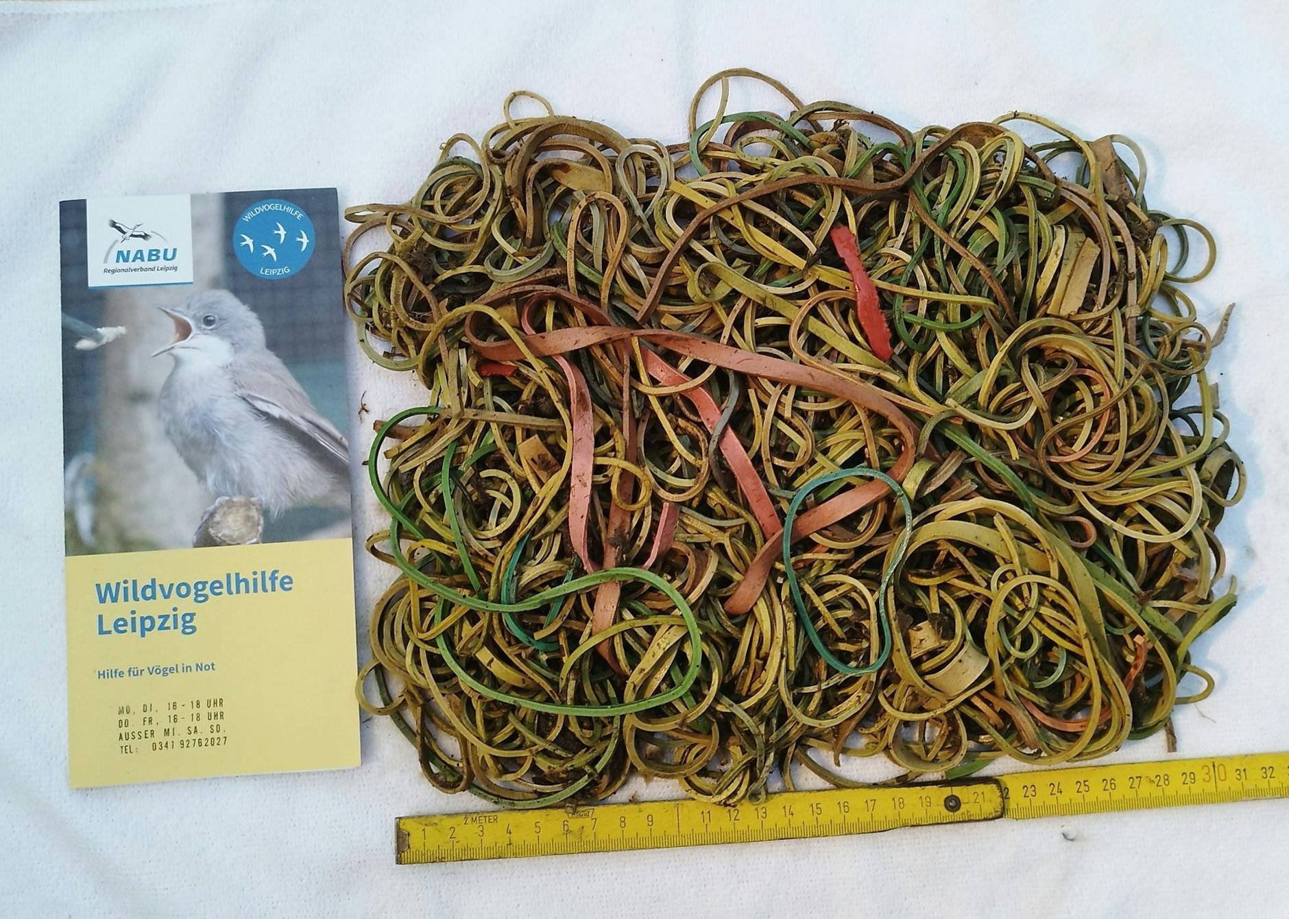 HANDOUT - Gummibänder bedeuteten das Todesurteil für einen Jungstorch in Sachsen-Anhalt. Nach Nabu-Angaben wurden rund 600 Gramm in dem Magen des jungen Vogels gefunden. Die Tiere halten die Gummis für Regenwürmer.