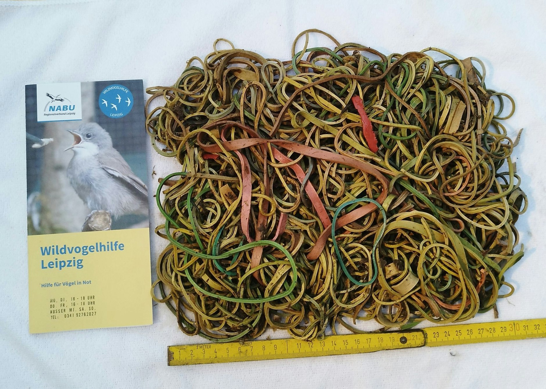 HANDOUT - Gummibänder bedeuteten das Todesurteil für einen Jungstorch in Sachsen-Anhalt. Nach Nabu-Angaben wurden rund 600 Gramm in dem Magen des jungen Vogels gefunden. Die Tiere halten die Gummis für Regenwürmer.  