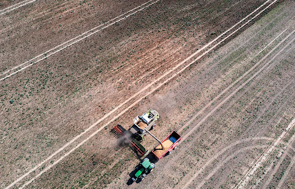 Ein Mähdrescher erntet Ackerbohnen auf einem Feld und tankt sie auf einen Transporthänger ab.  