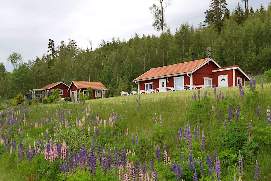 In der schwedischen Natur gibt es eine Vielzahl an Hütten, in denen Reisende kostenfrei übernachten können.&nbsp;