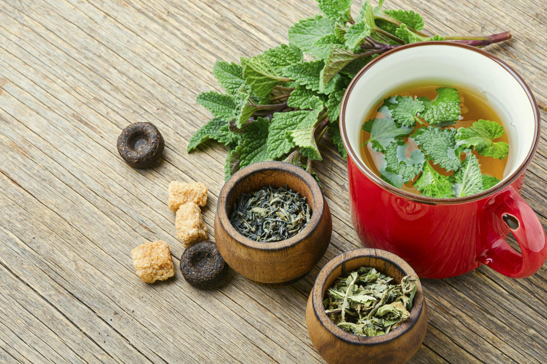 Zitronenmelisse ergibt einen wunderbaren Tee mit Zitronenaroma.