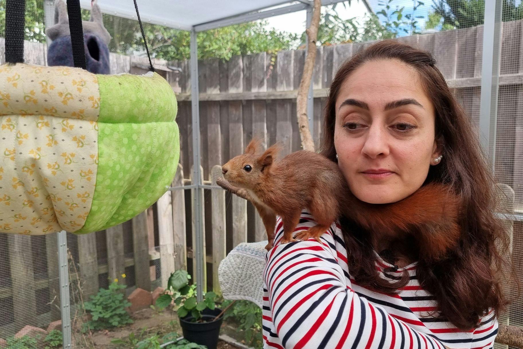 Die Tierschützerin Mona Gharib hat ein Eichhörnchen auf der Schulter.
