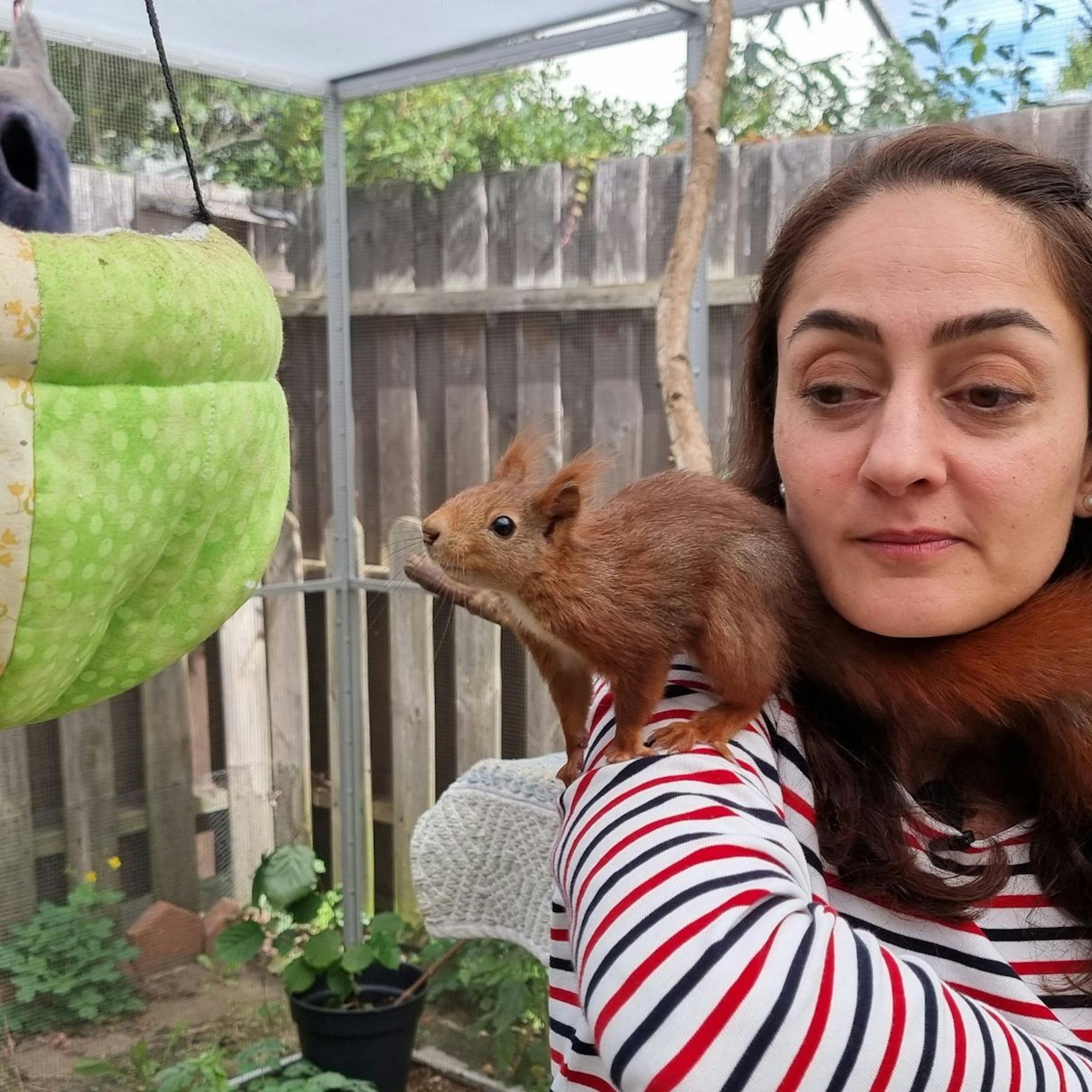 Image - Mona ist „schockverliebt“ in Eichhörnchen