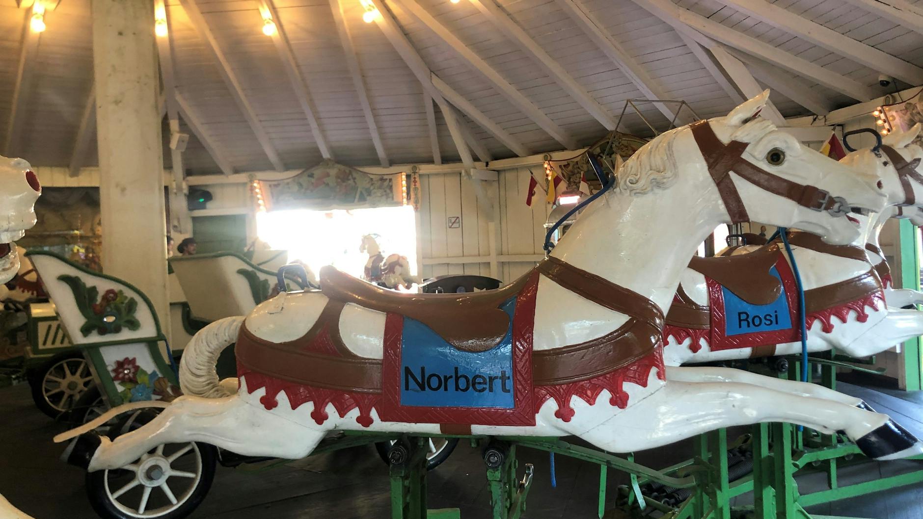 Alte Karussellpferde strahlen Melancholie und Ausgelassenheit aus. Auch im Plänterwald ließ sich jahrelang die besondere Stimmung von in die Jahre gekommenen Fahrgeschäften nachempfinden.