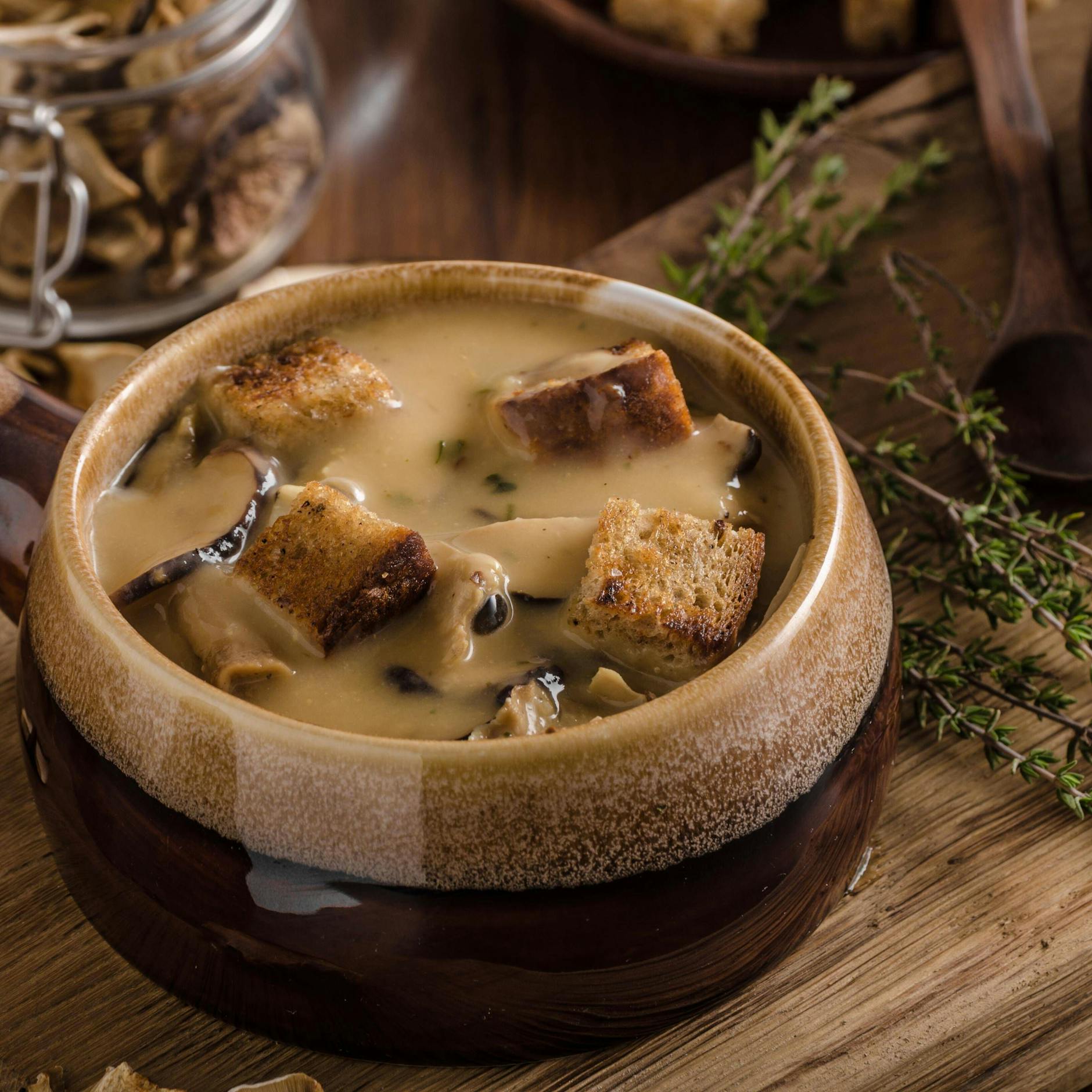 Waldpilze mit Gemüse geköchelt und mit gerösteten Brotwürfeln serviert. 