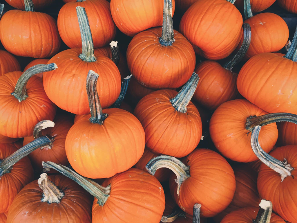 Endlich Kürbis-Zeit! Alles, was Sie über das Herbstgemüse wissen müssen