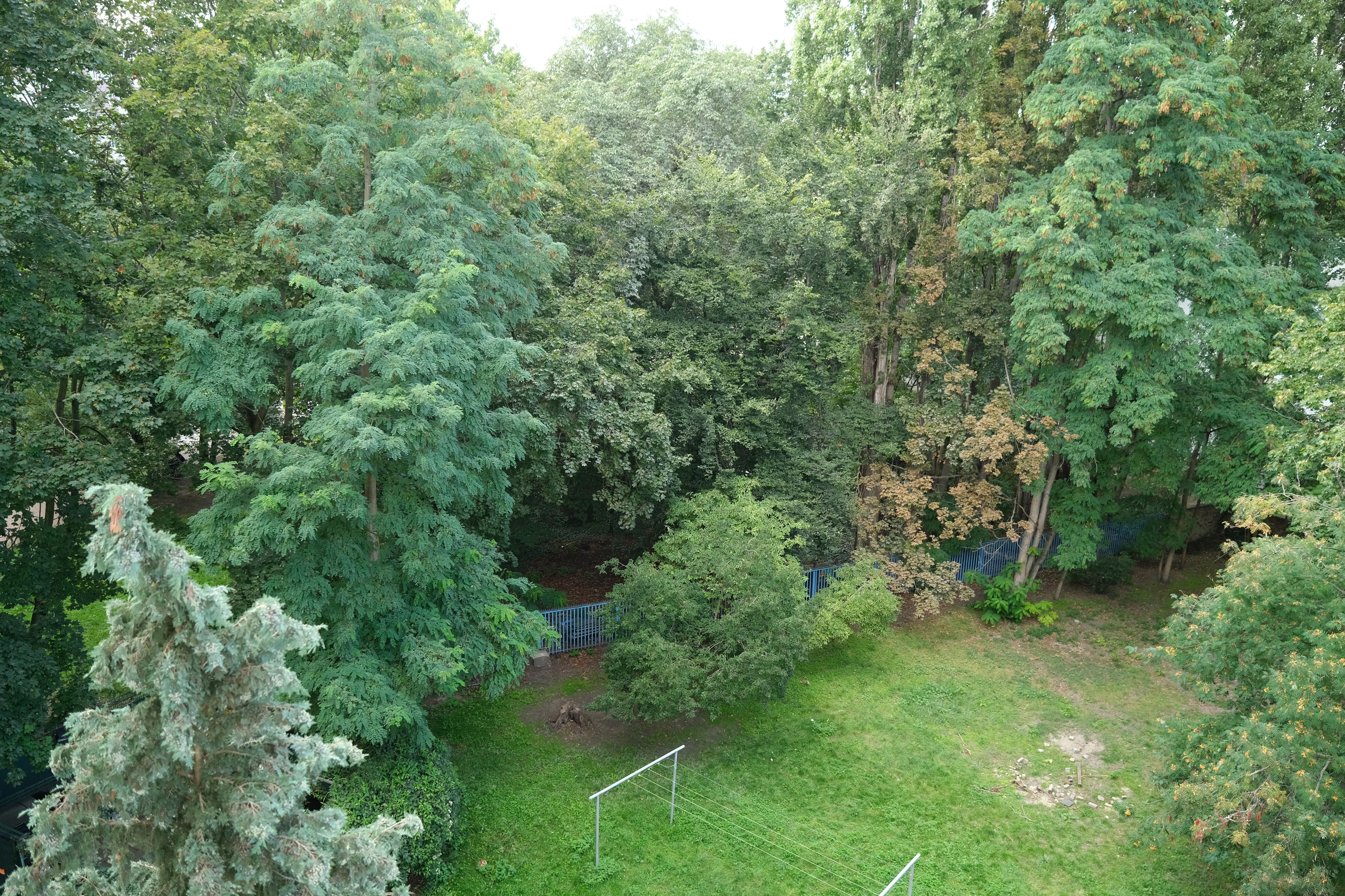 Umkämpftes Grün mitten in der Stadt