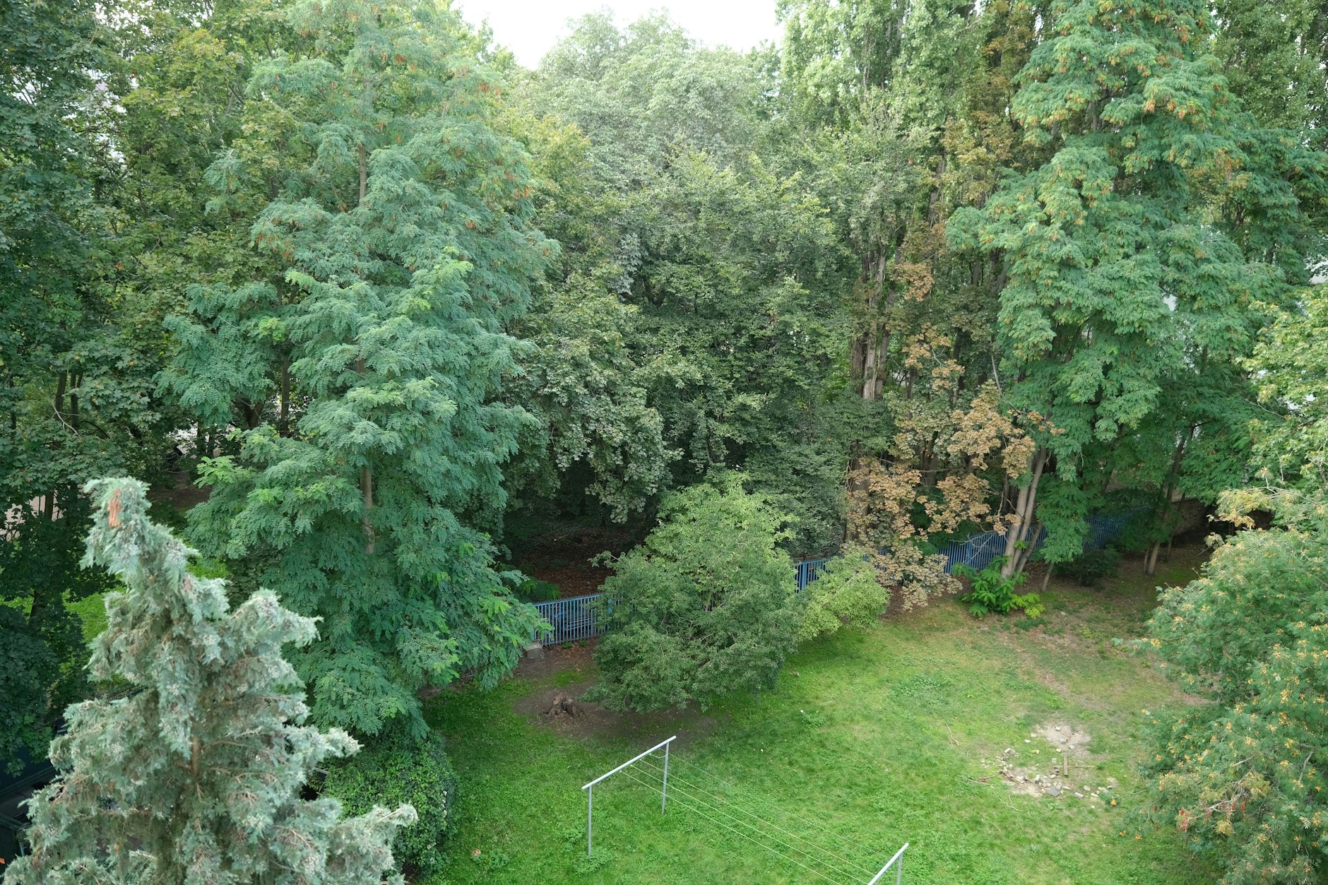 Umkämpftes Grün mitten in der Stadt