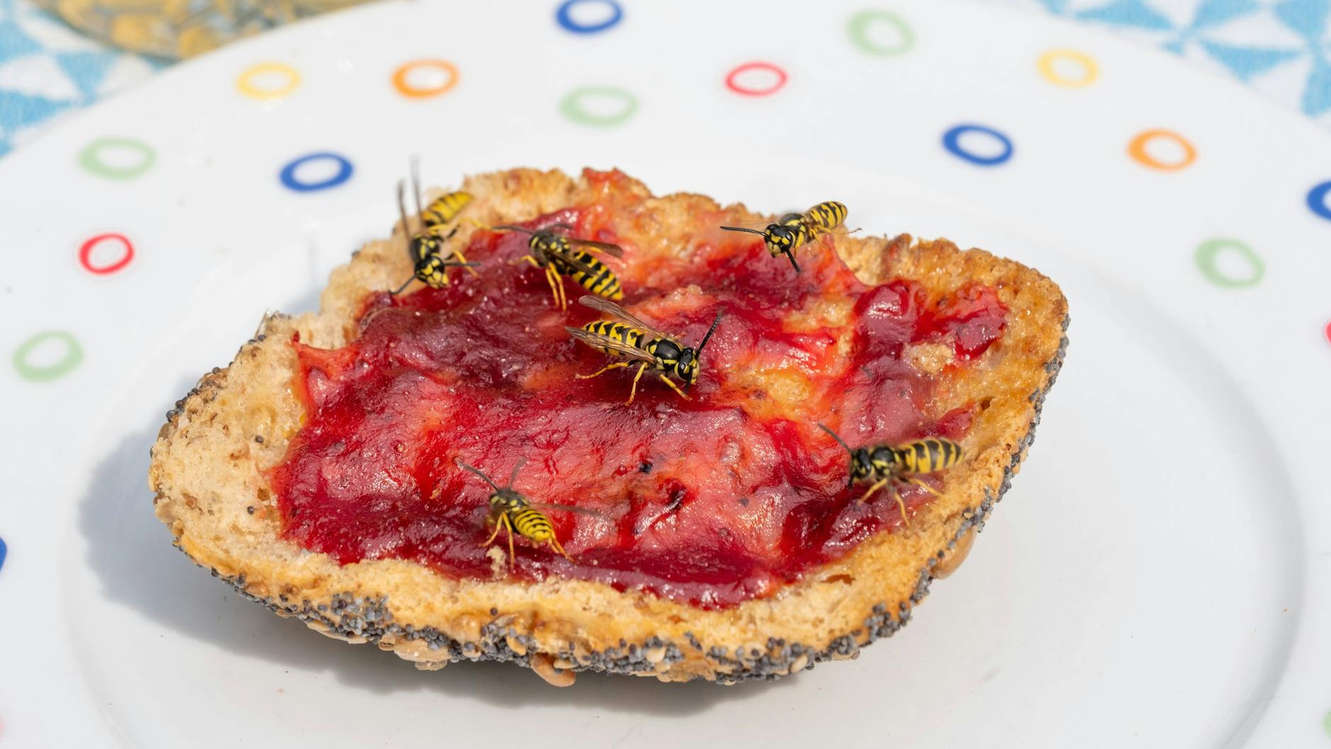 Wespen lieben süße Speisen und Getränke. Decken Sie sie am besten ab,