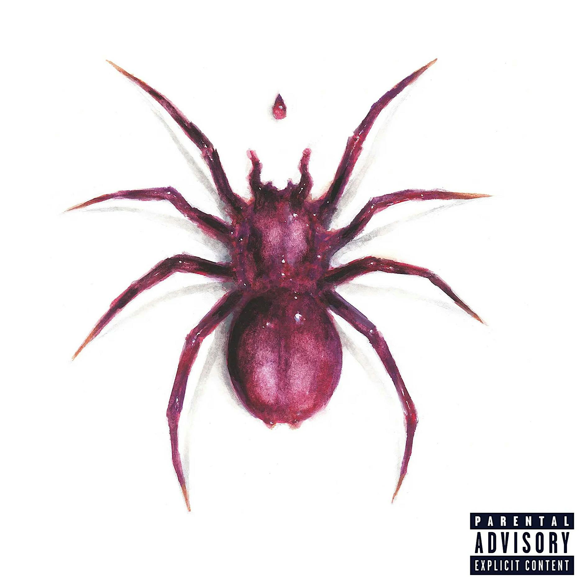 Doja Cat und Chaver: Hat die amerikanische Rapperin bei der ostdeutschen Band geklaut?