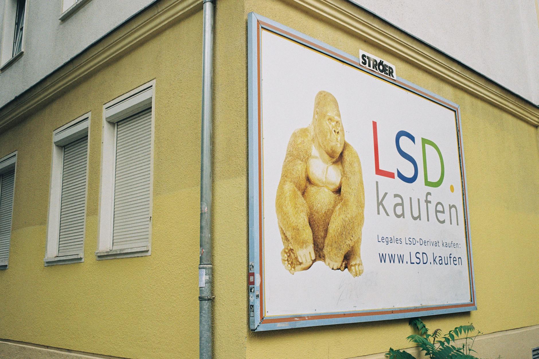 Wäre Friedrichshain ein Mensch, wäre ihm die Simon-Dach-Straße bestimmt peinlich.