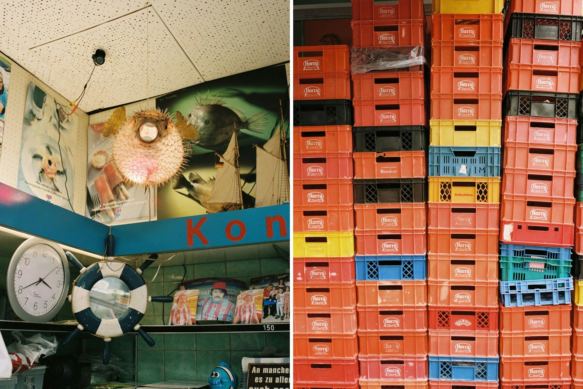 Bei Fisch Schmidt ist die Wrangelwelt noch in Ordnung.