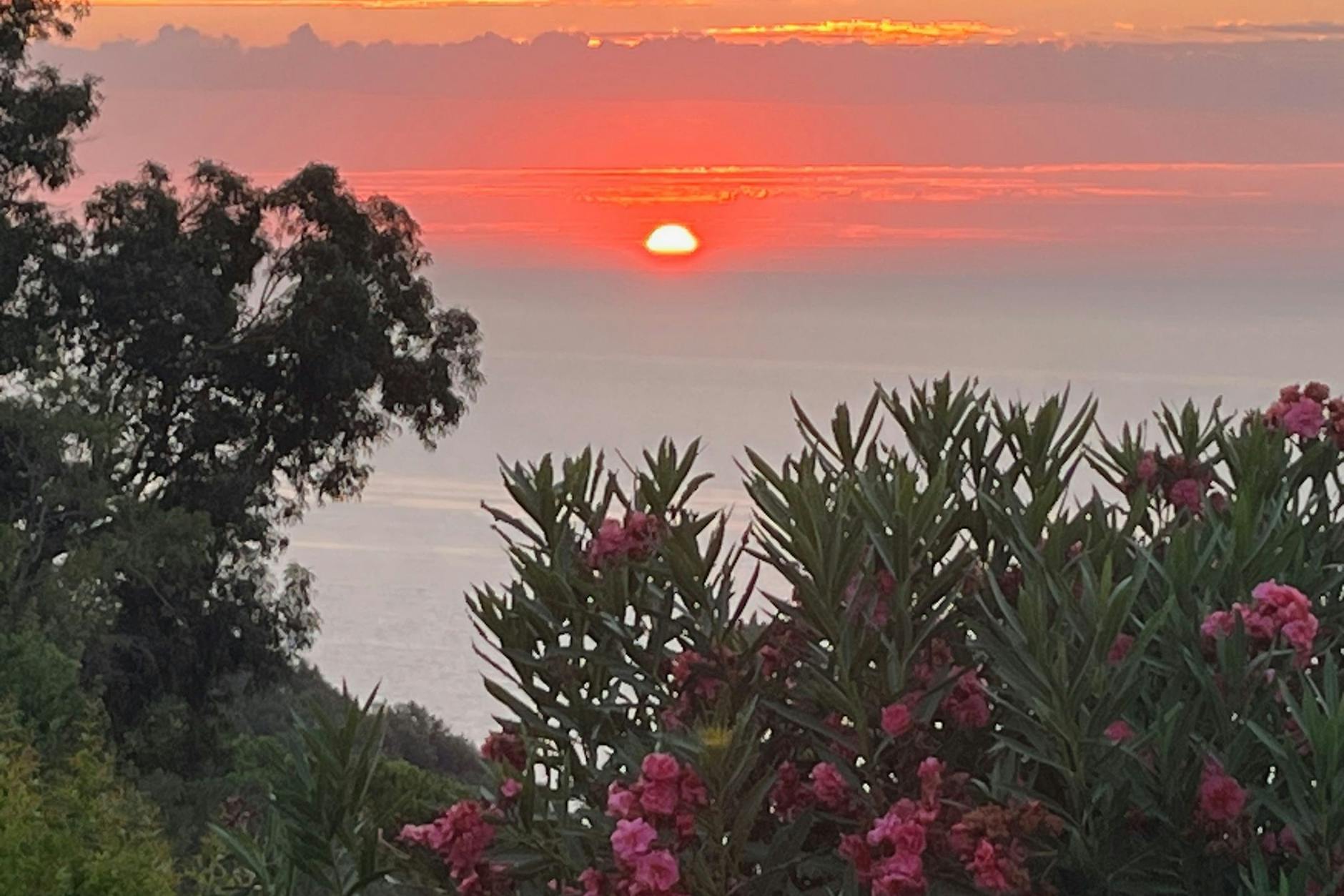 Man stelle sich dieses Bild als Duft vor.