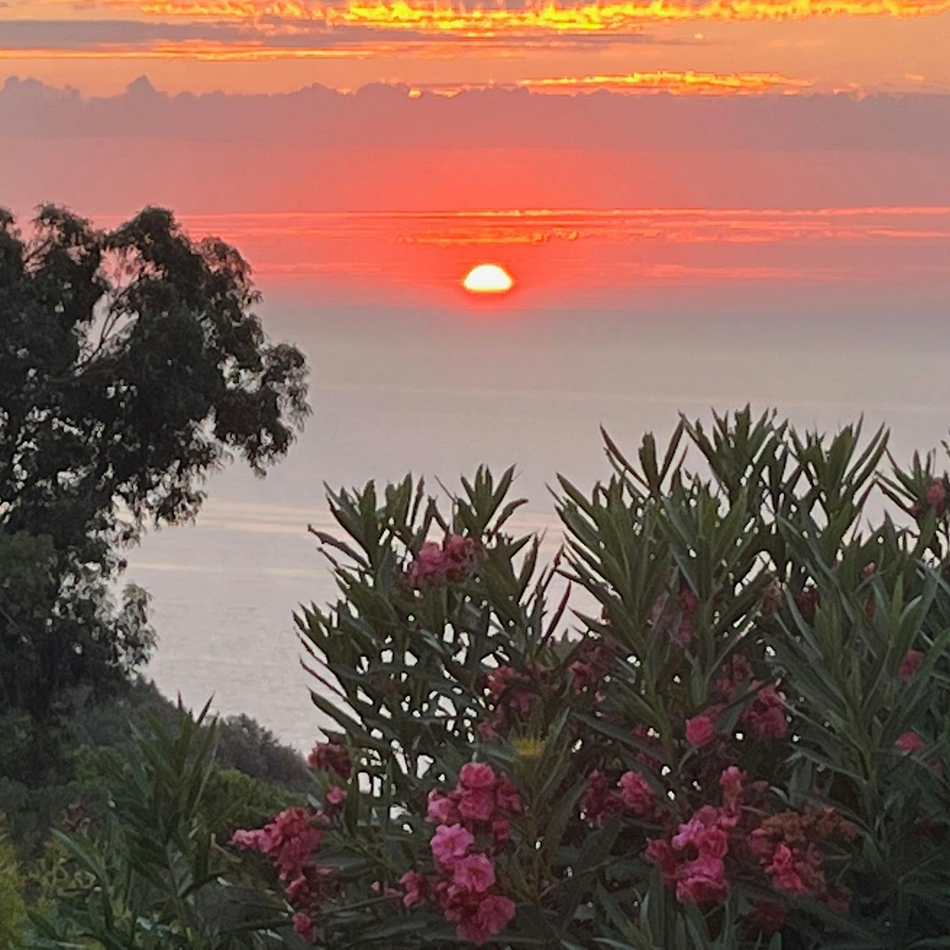 Elba will seinen Duft weltweit vermarkten: Die Essenz einer Insel