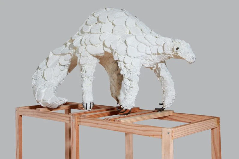 Lin May Saeed: „Pangolin“, 2020