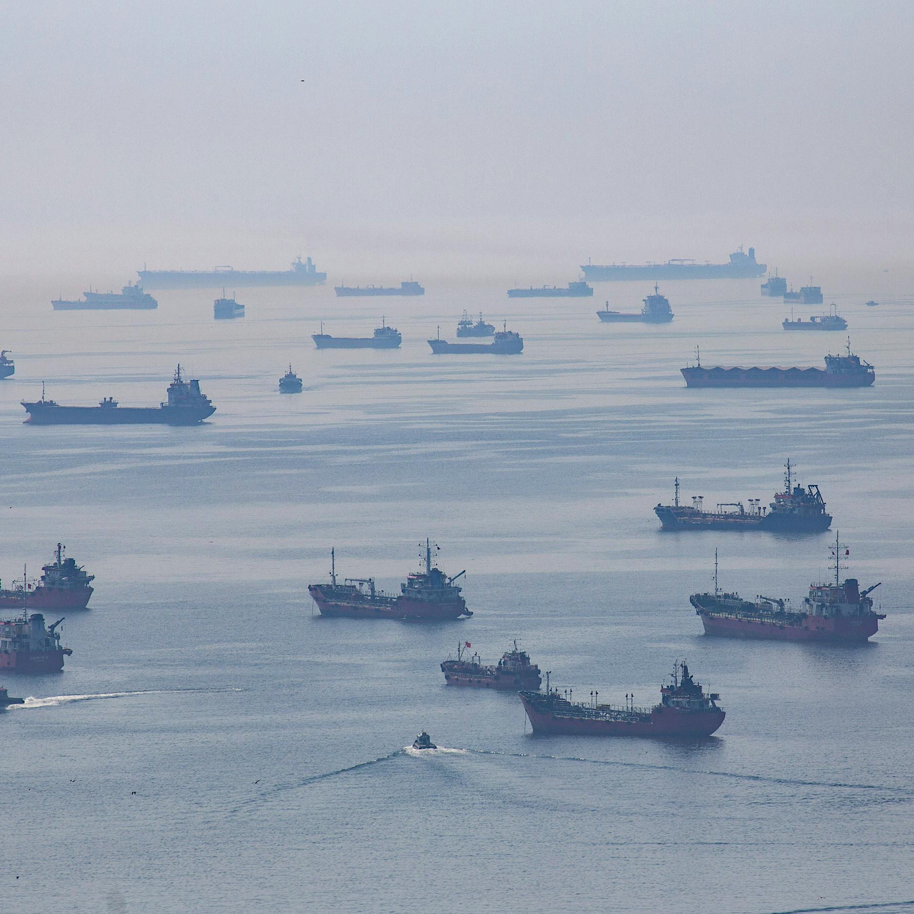 Neue Studie: So lohnt sich die Nicht-Unterstützung der Russland-Sanktionen