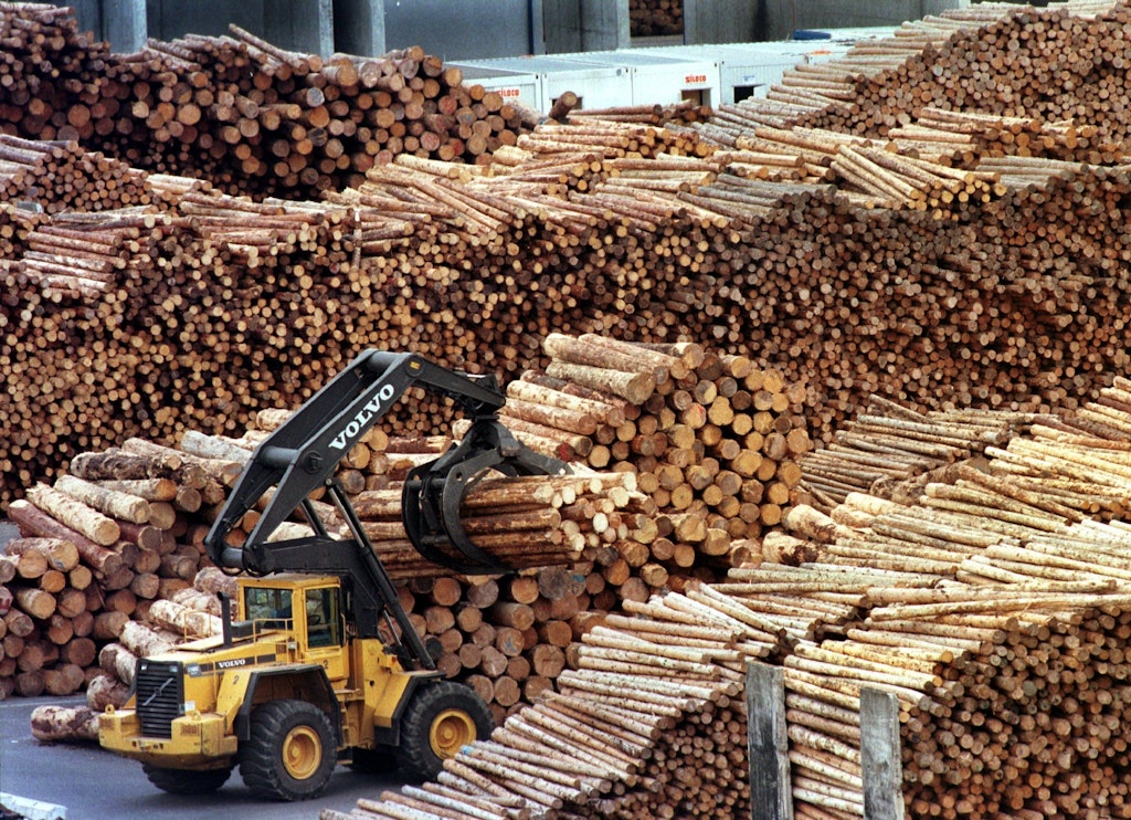 Polskie firmy w dalszym ciągu importują rosyjskie drewno