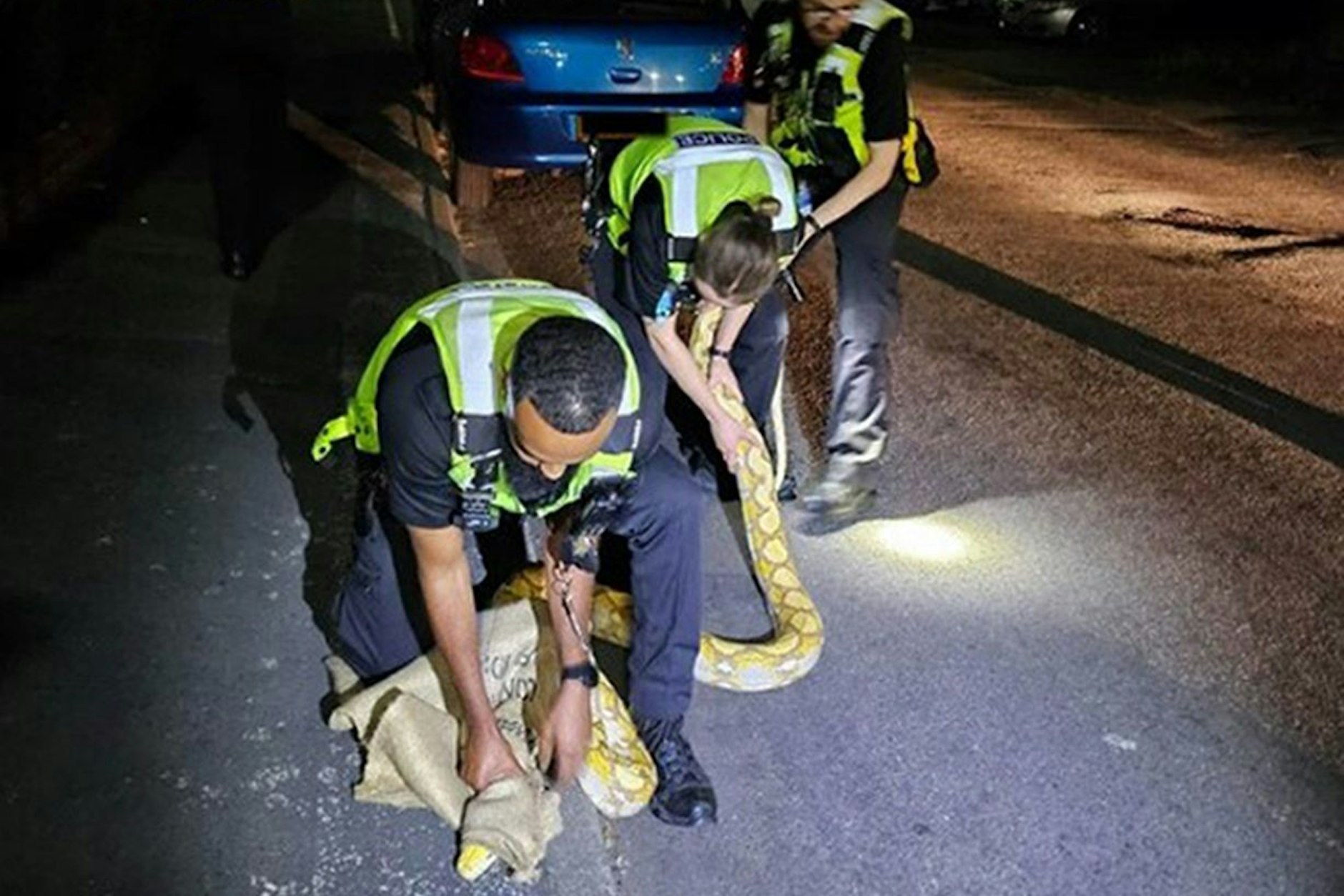 Dieses von der Polizei der West Midlands zur Verfügung gestellte Foto zeigt Polizeibeamte, die einen 3,60 Meter langen Python einfangen.