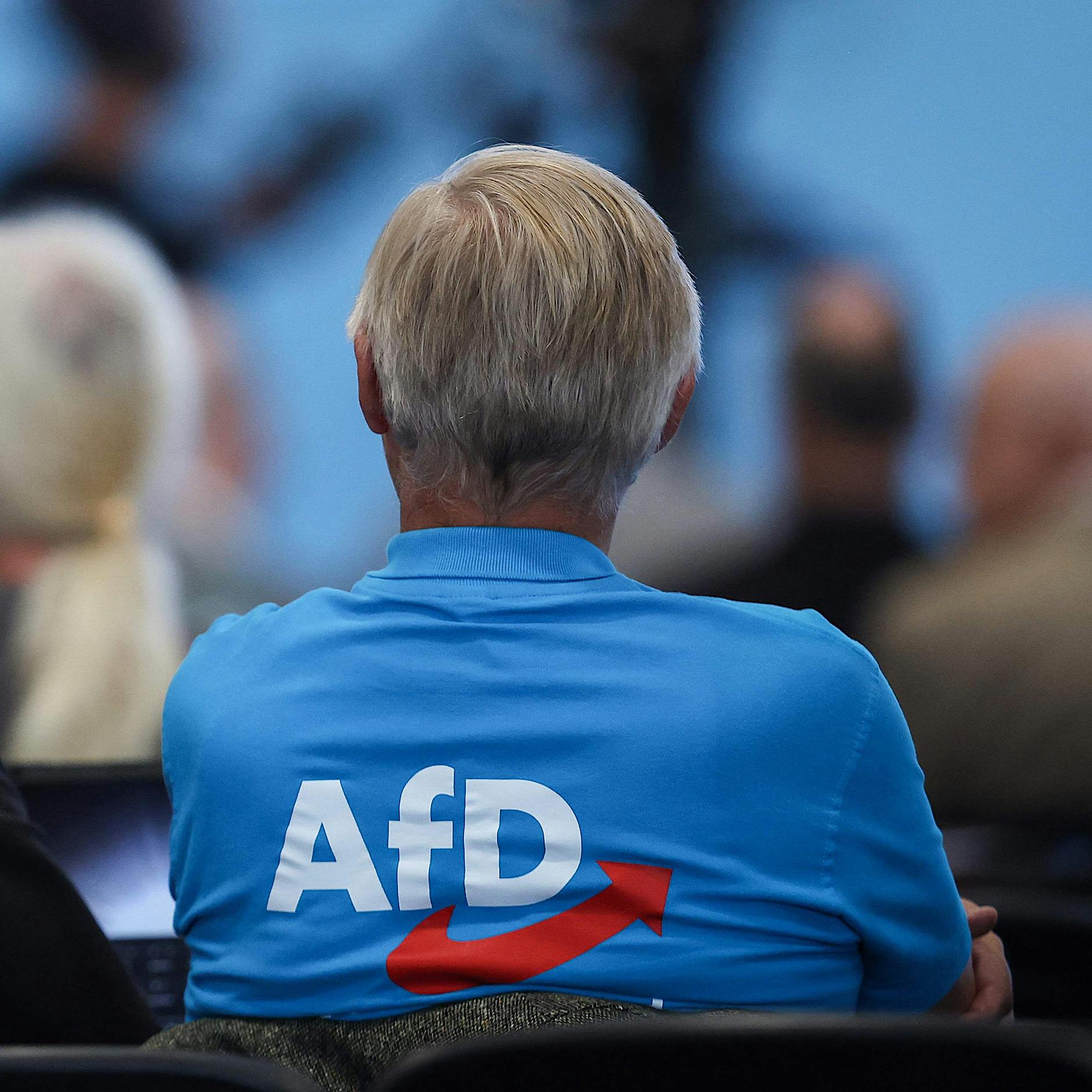 AfD Niedersachsen klagt wegen Schultheaterstücks: Das sagt ein Verfassungsrechtler