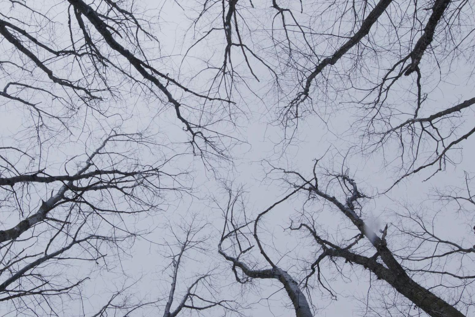 Still aus der Installation „Bud’mo“ (Ausschnitt)