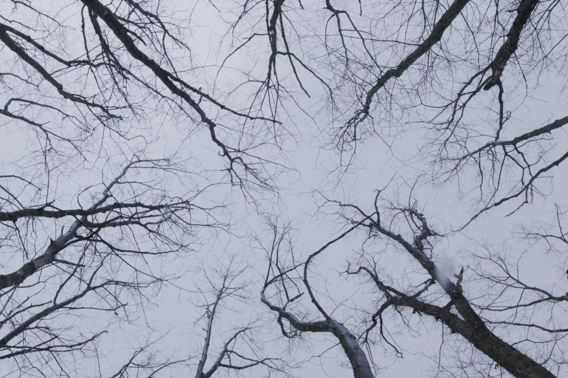 Still aus der Installation „Bud’mo“ (Ausschnitt)