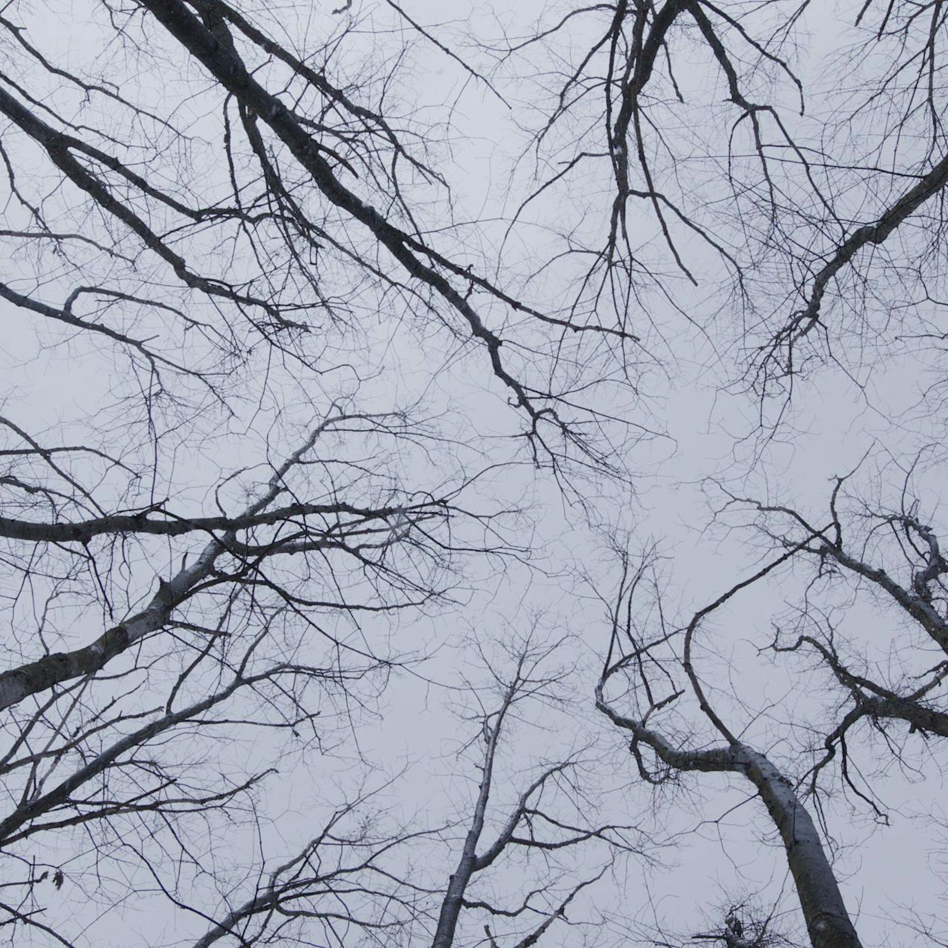 Nadia Kaabi-Linke richtet den Blick in den Himmel über den Bloodlands