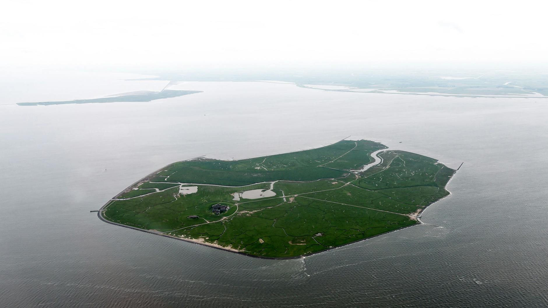Auch in Gröde auf der gleichnamigen Hallig vor der Nordseeküste wohnen nur rund zehn Menschen - wie auch in Dietfeld in Rheinland-Pfalz.