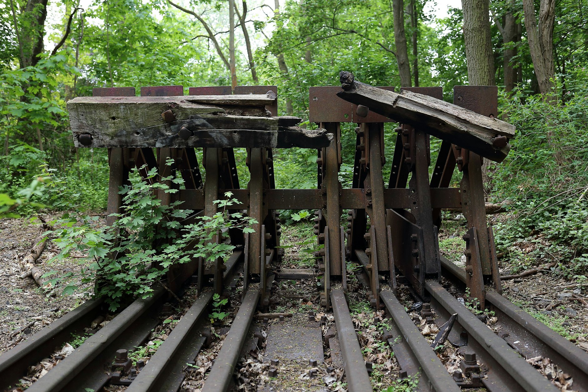 Die alte Stammbahn in Düppel: 1945 endete der Bahnverkehr, 1980 auch der S-Bahn-Betrieb. Jahrzehntelang war unklar, was mit der ersten Strecke zwischen Berlin und Potsdam geschieht.