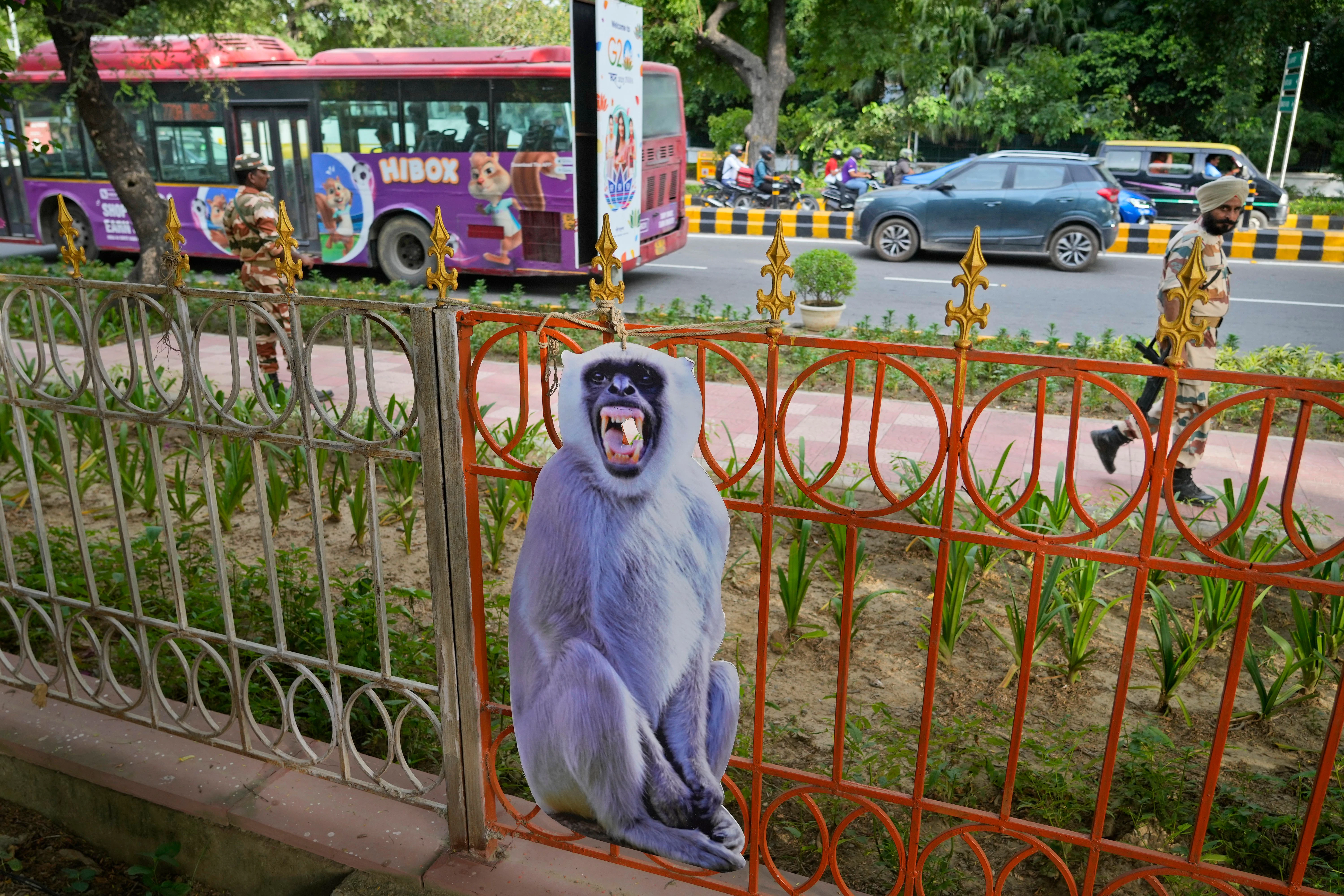 Ein Pappschild eines Languren,&nbsp;das Affen abschrecken soll,&nbsp;in einem Waldgebiet in Neu-Delhi.