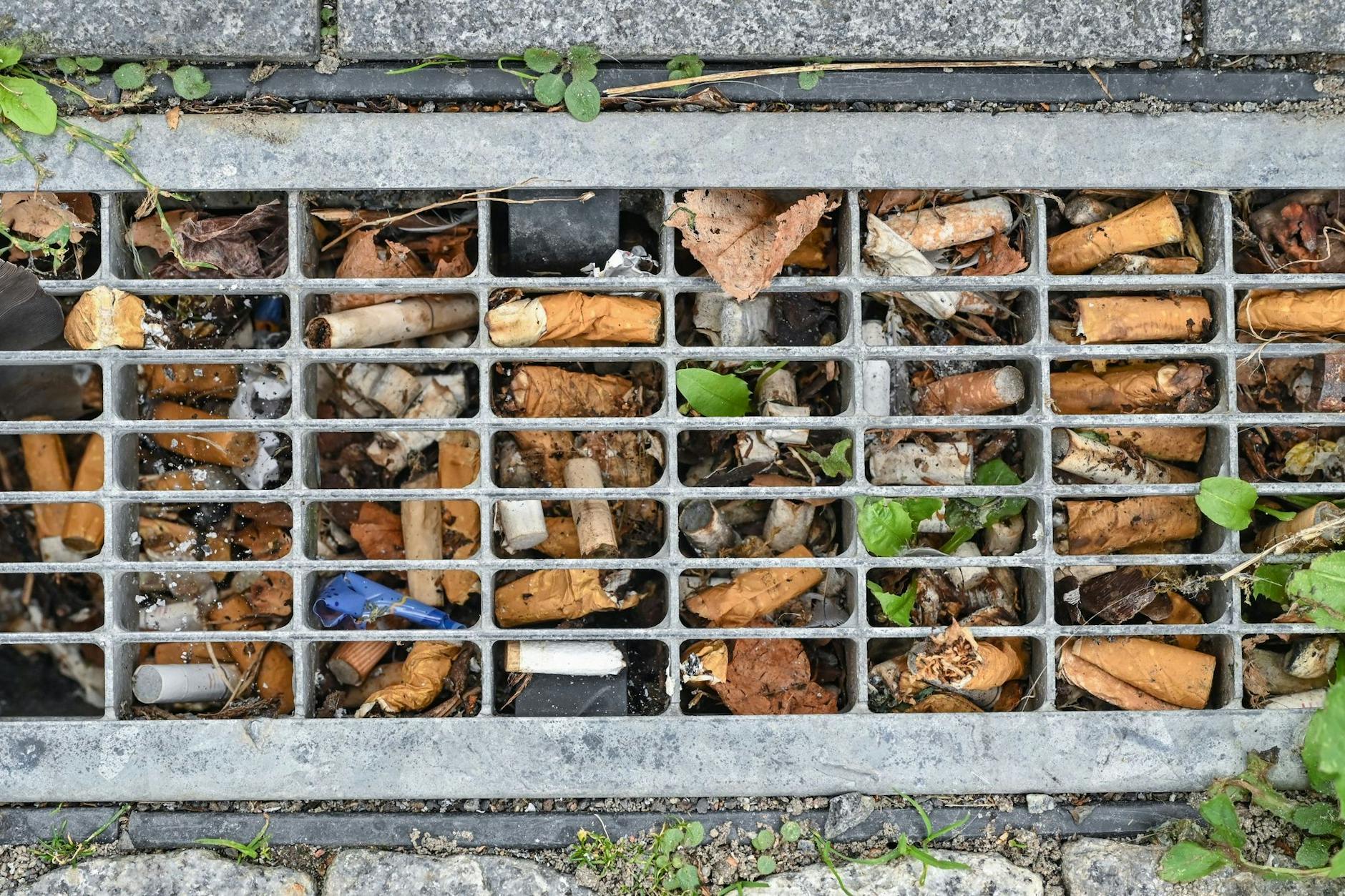 Zigarettenstummel sind laut Studien vielerorts der am häufigsten achtlos in die Umwelt geworfene Müll.