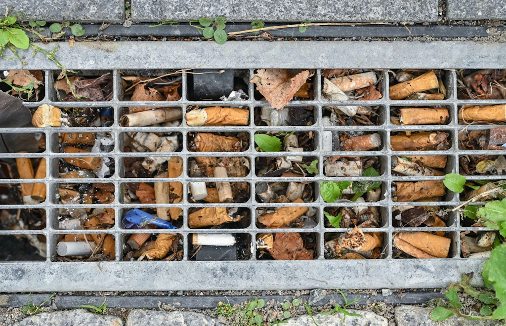 Umweltsünde Zigarettenkippen: SO sehr belasten die Stummel die Natur