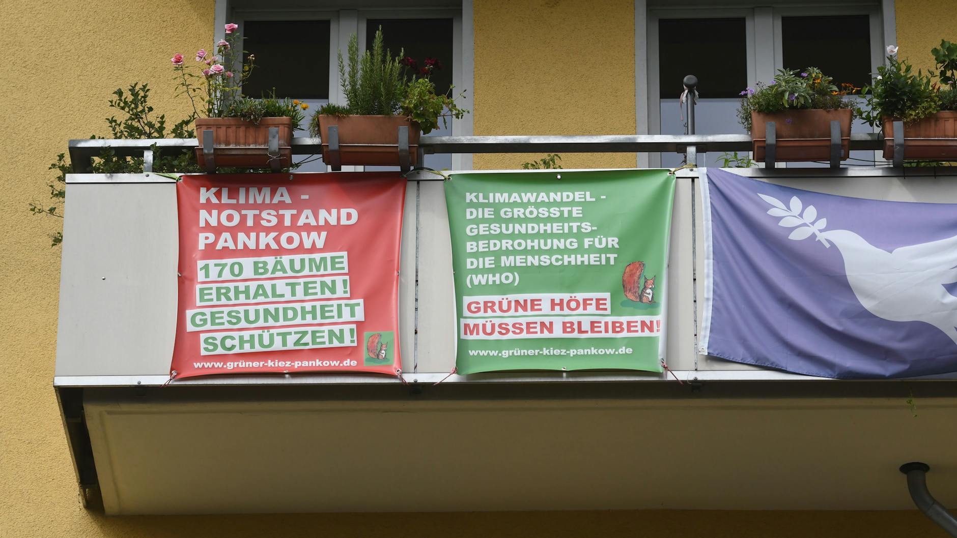 Klimakrise, Flüchtlingskrise, alles hängt mit allem zusammen. In Pankow zeigt sich, wie man den Problemen nicht begegnen sollte. 