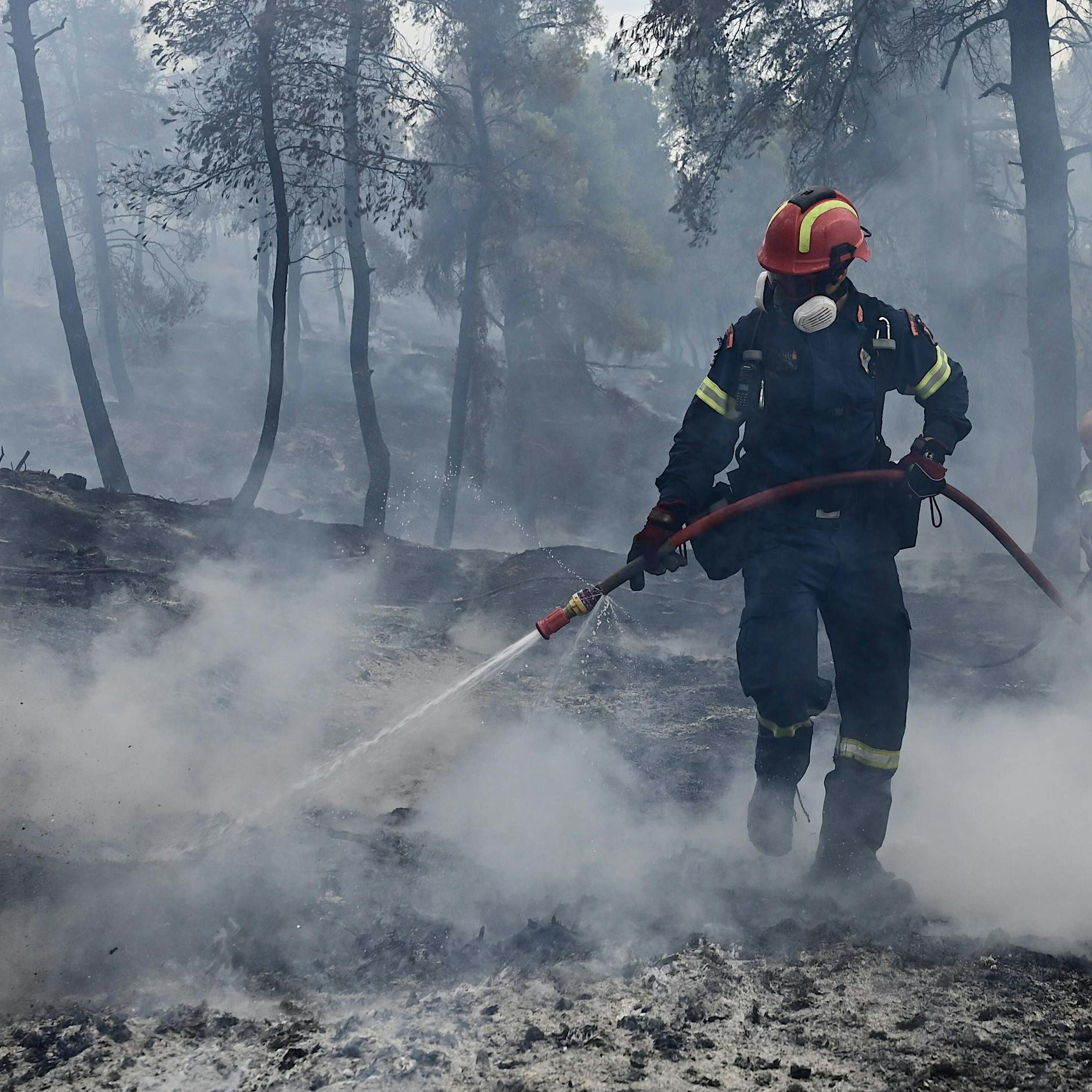 Forscher gibt zu, Klimawandel „überbetont“ zu haben, um Studie zu veröffentlichen