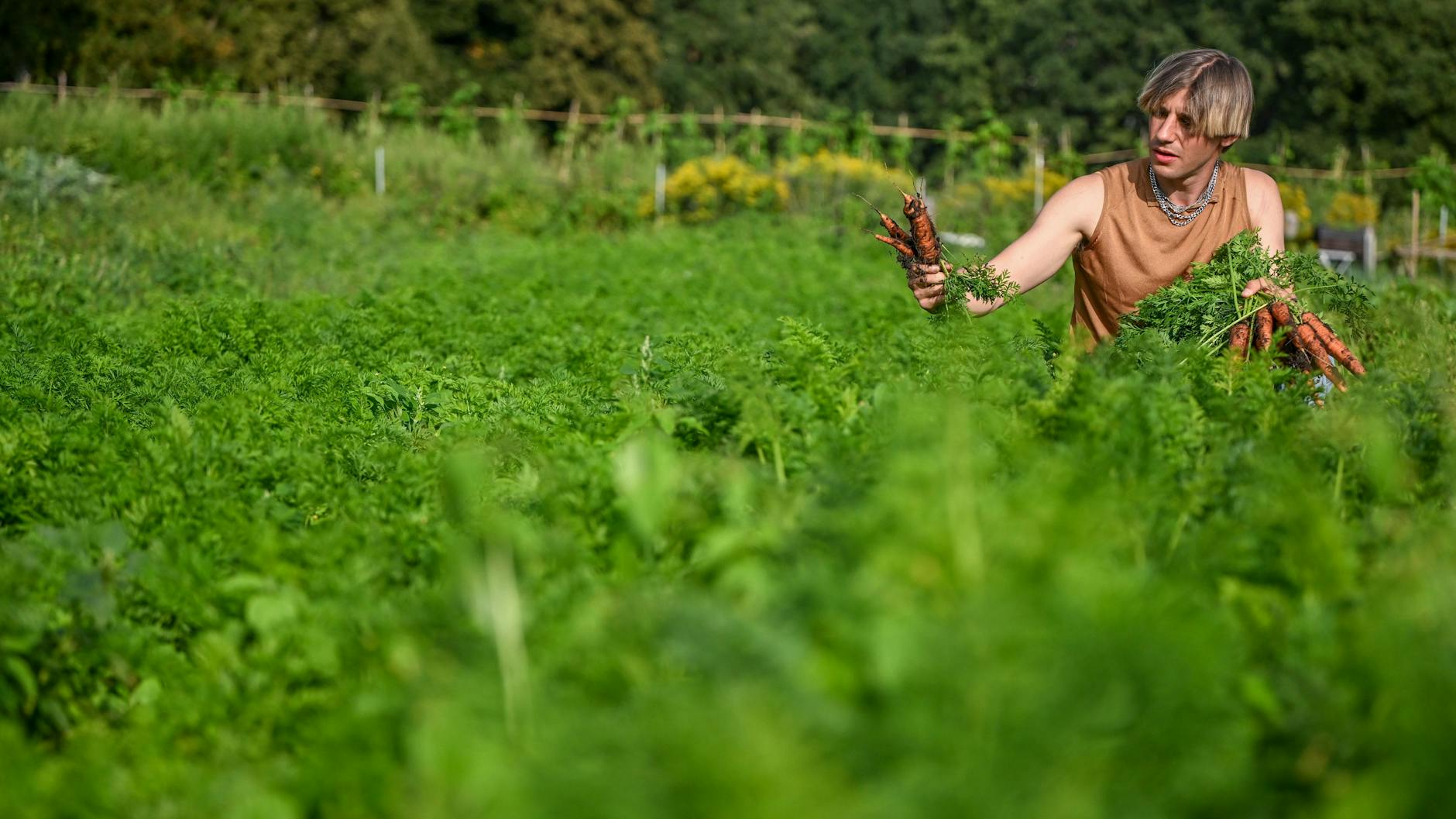 Max hat den Acker seit sechs Jahren gepachtet, er fand ihn durch eine Kleinanzeige.