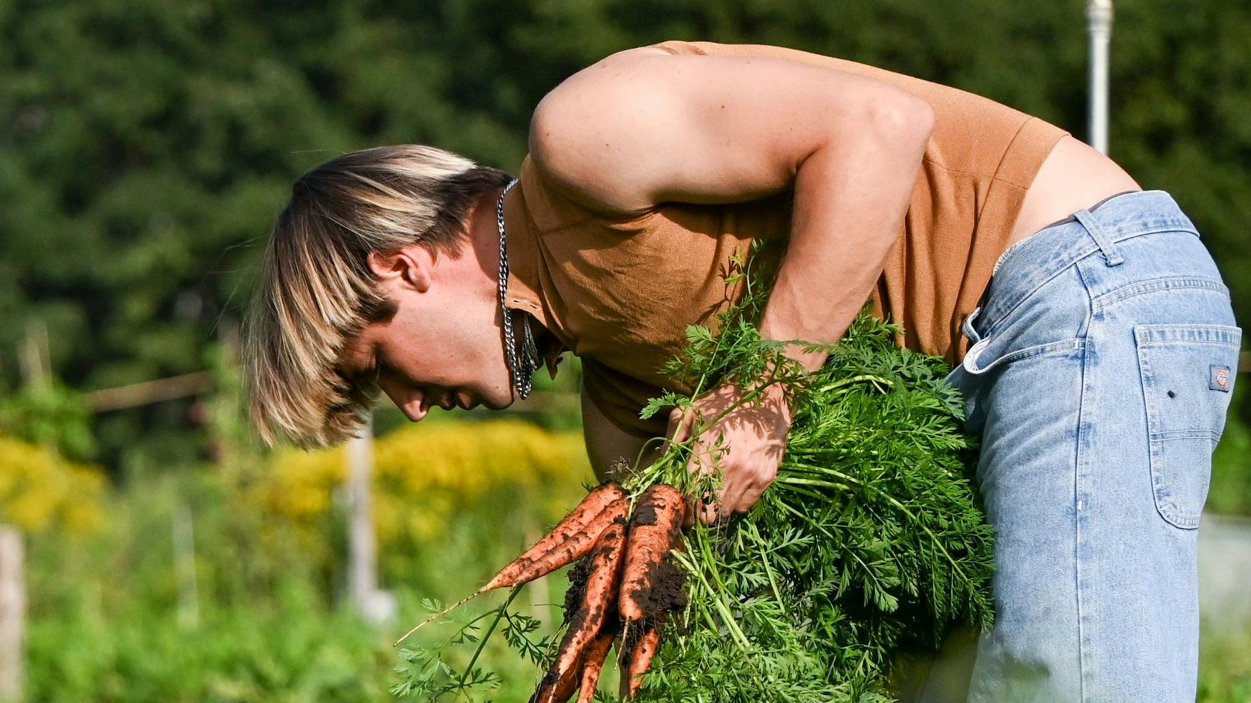 Max nächstes Projekt: Parzellen.