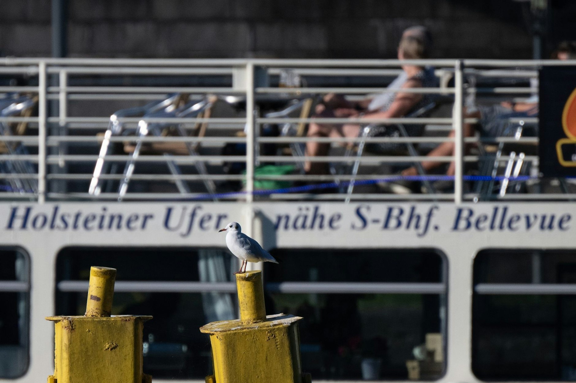 ARCHIV - Eine Möwe sitzt vor einem Ausflugsschiff auf einem Poller in der Spree.