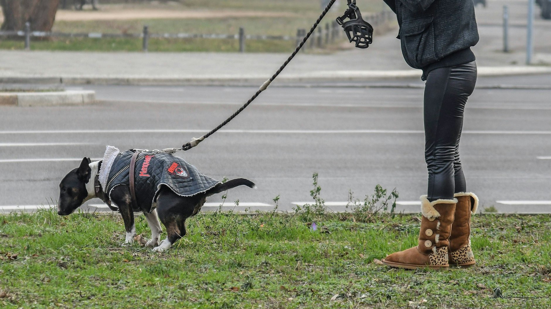 Hundebesitzer, die die Häufchen ihrer Vierbeiner nicht wegräumen, schüren die Wut der Hundehasser.