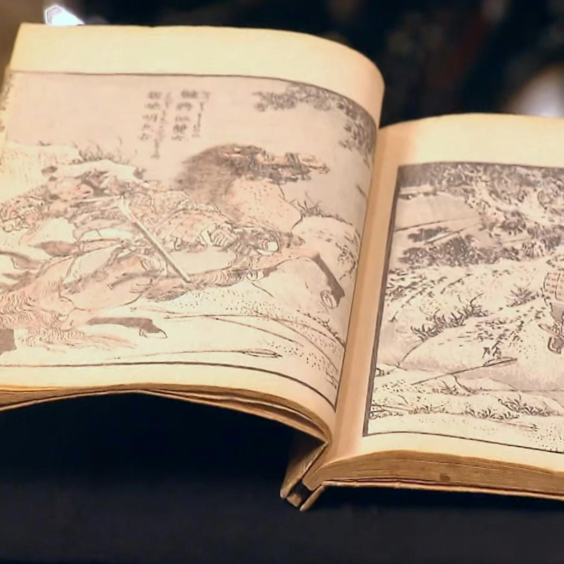 „Bares für Rares“-Profi zahlt irre Summe für ein paar Seiten Reispapier