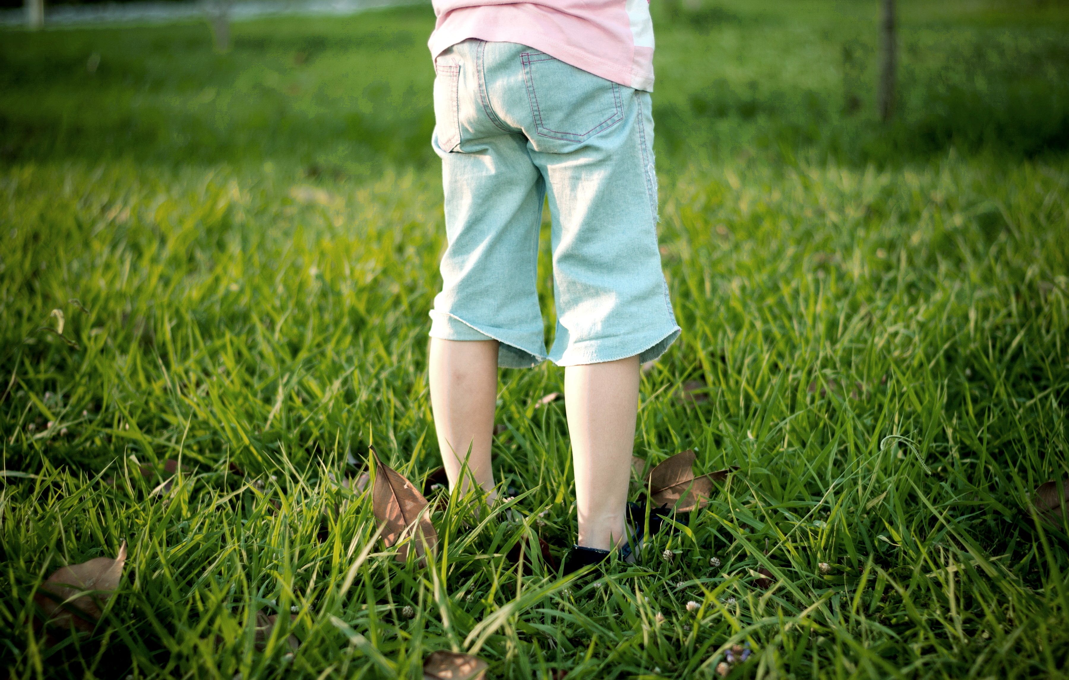 Evangelische Kirchengemeinde Mahlsdorf: Verdacht auf sexuellen Missbrauch von Kindern